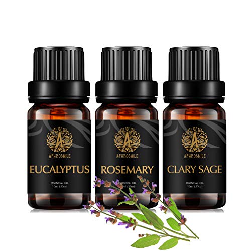 Aromaterapia eucalipto aceite esencial set para