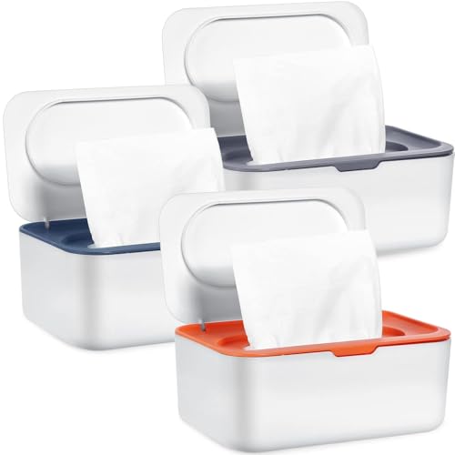 Caja de toallitas húmedas (3 unidades)