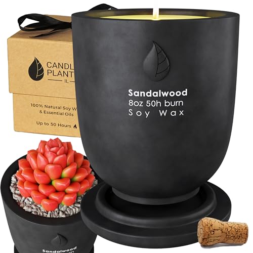 Matani Maceta de velas de cemento de hormigón,