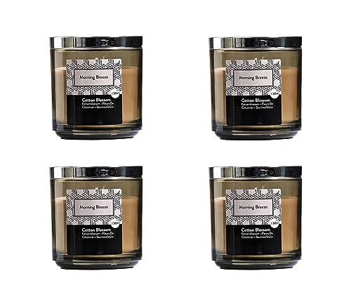 Juego de 4 velas perfumadas en tarro de cristal,