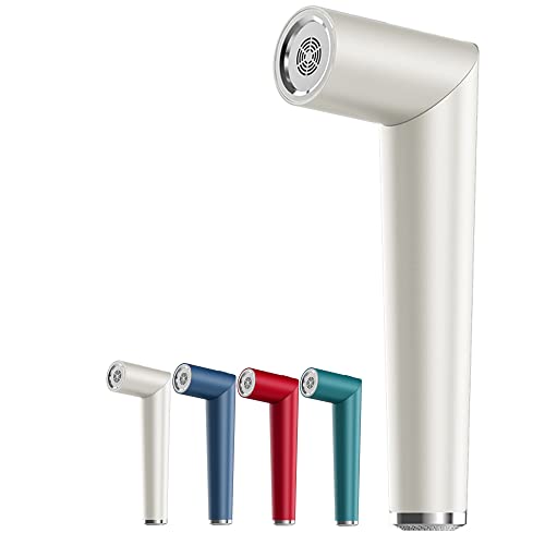 GWMWON Secador de pelo inalámbrico profesional,